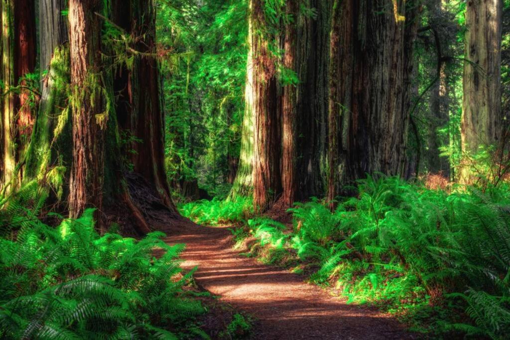 Bear Mountain - Suite 6 Grants Pass Luaran gambar